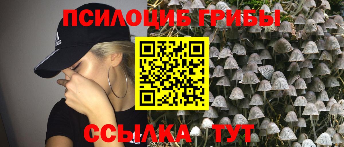 Галлюциногенные грибы прущие грибы Баксан